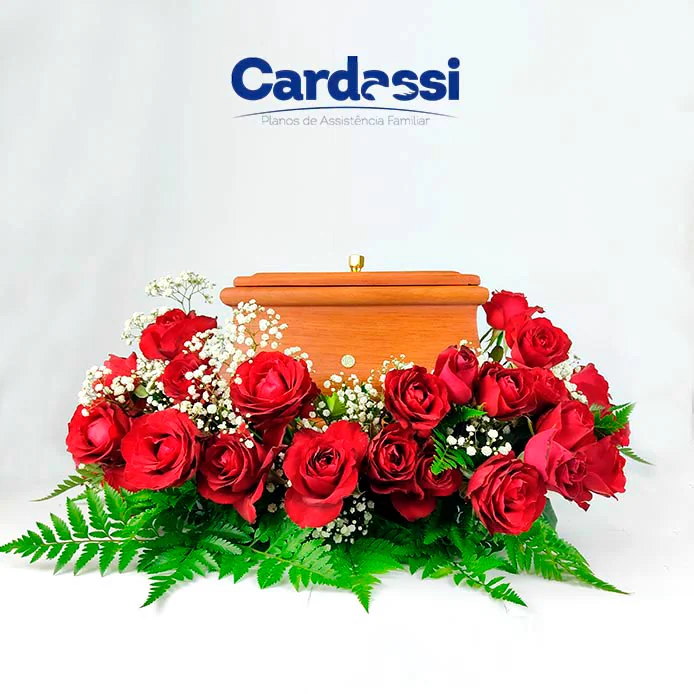 Urna para cinzas — Cardassi